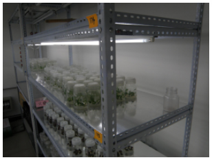 5d3949d66b328.png image.png