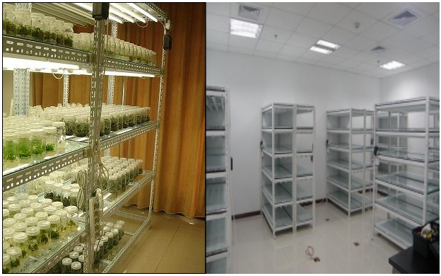 5d3949e949d8e.png image.png